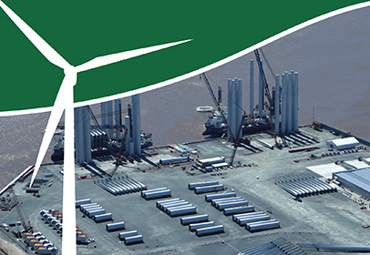  Ecology & Ornithology