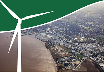  Ecology & Ornithology